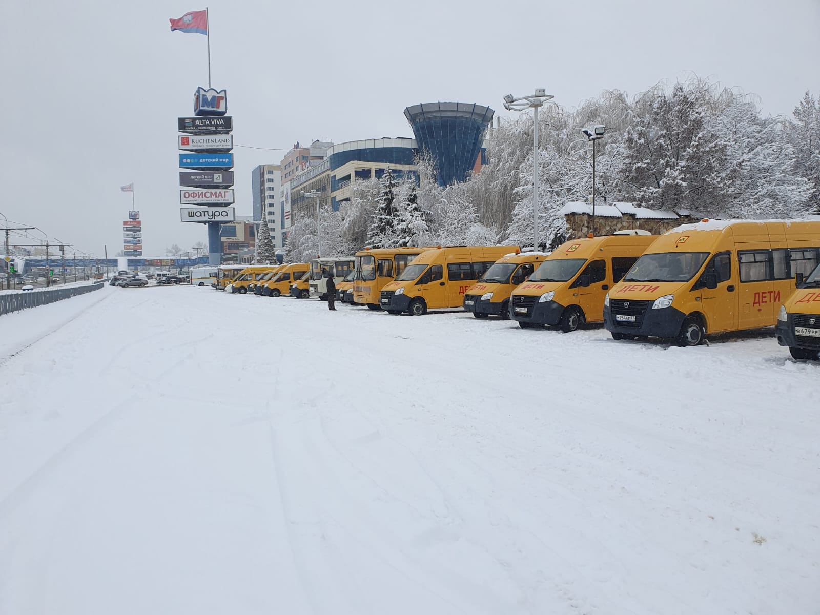 Школьные автобусы